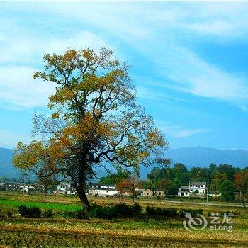 塔川农夫之家酒店提供图片