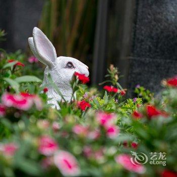 厦门香格里墅度假庄园酒店提供图片