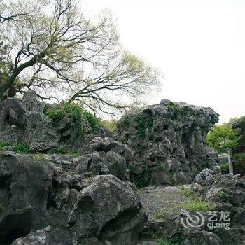 华山金雅居客栈酒店提供图片