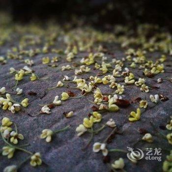 广元辜家大院酒店提供图片