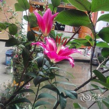 腾冲小时光客栈酒店提供图片