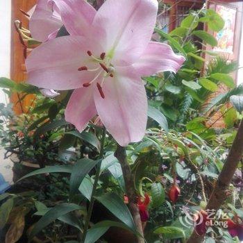 腾冲小时光客栈酒店提供图片