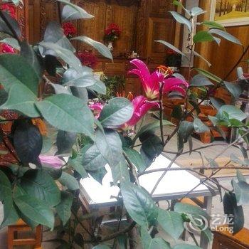 腾冲小时光客栈酒店提供图片