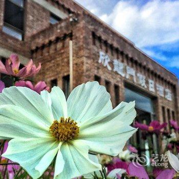 丰宁坝上草原欣龍門假日酒店酒店提供图片