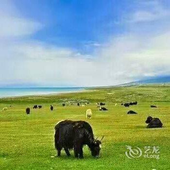 共和夏尔格牧家乐酒店提供图片