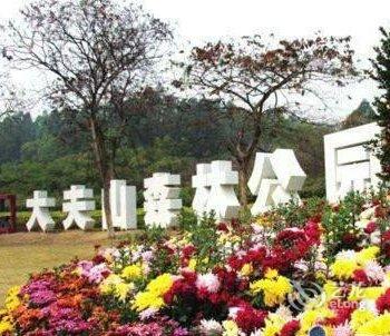 广州南站高赛思主题公寓酒店提供图片