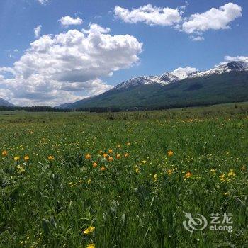 喀纳斯景区电力山庄酒店提供图片