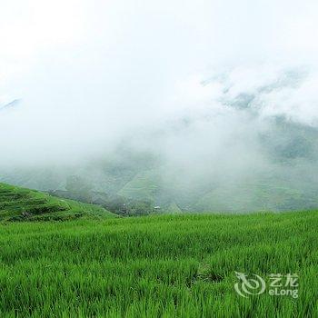 龙胜金源阁楼酒店提供图片