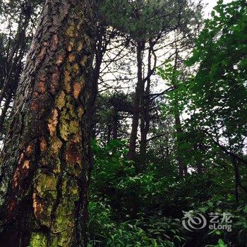 黄冈昌峰山庄酒店提供图片