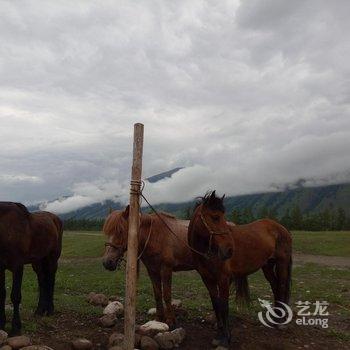 阿勒泰叶尔江山庄酒店提供图片