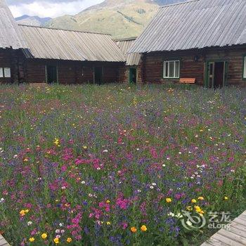 布尔津禾木鹿野乡村旅馆酒店提供图片