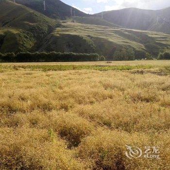 新都桥秋珠客栈酒店提供图片