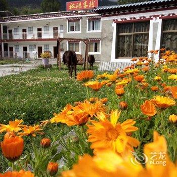 新都桥秋珠客栈酒店提供图片