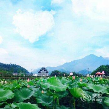 富阳龙门琴佳民宿酒店提供图片