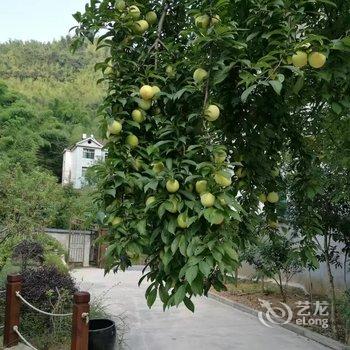 临安芦山潮宿民宿酒店提供图片