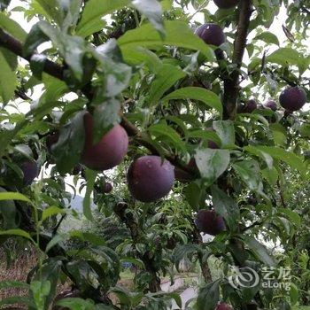 临安芦山潮宿民宿酒店提供图片