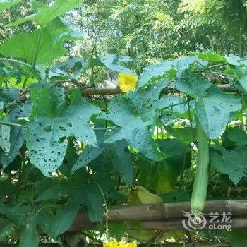 临安芦山潮宿民宿酒店提供图片