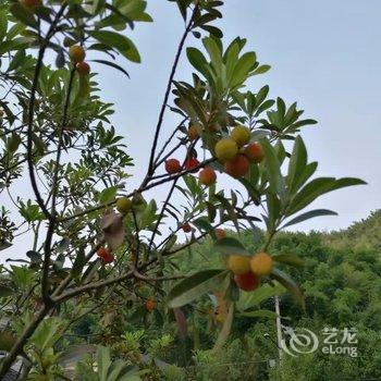 临安芦山潮宿民宿酒店提供图片