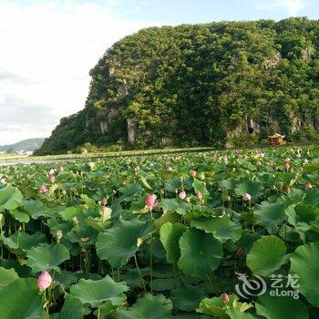 普者黑河韵客栈酒店提供图片