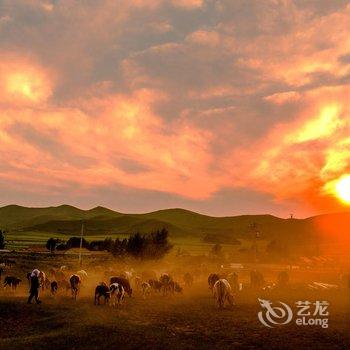 多伦金和宾馆酒店提供图片