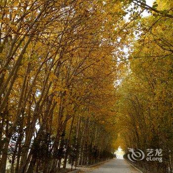 江孜隆鑫商务宾馆酒店提供图片