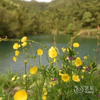 莫干山紫轩山居酒店提供图片