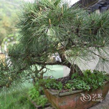 莫干山紫轩山居酒店提供图片