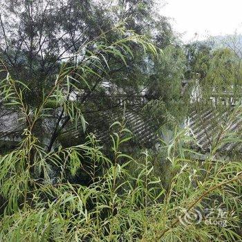 赣州东江源三百山温泉旅游度假区用户上传图片