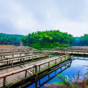 宜宾蜀南竹海海水轩度假山庄酒店提供图片