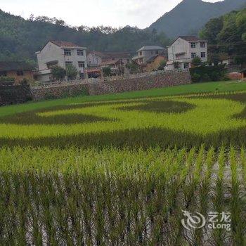 丽水秀水雅居民宿酒店提供图片