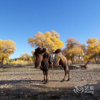 额济纳旗康乐福家庭旅馆酒店提供图片