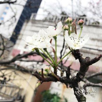 贵阳秘密花园青年旅舍酒店提供图片