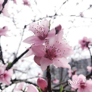 贵阳秘密花园青年旅舍酒店提供图片