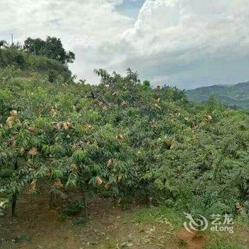 炎陵桃园山庄酒店提供图片