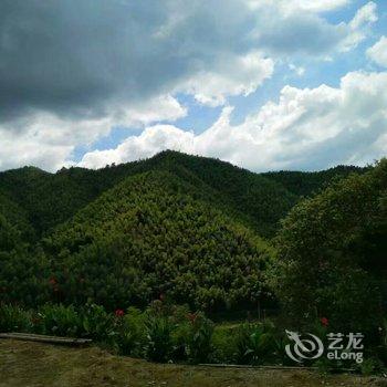 炎陵桃园山庄酒店提供图片