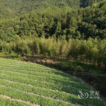 龙泉半半园民宿客栈酒店提供图片