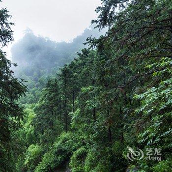 安吉欢庭山水统里度假酒店酒店提供图片