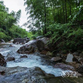 安吉欢庭山水统里度假酒店酒店提供图片