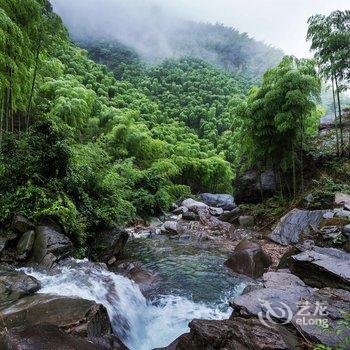 安吉欢庭山水统里度假酒店酒店提供图片