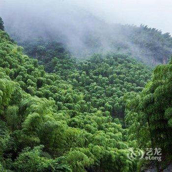 安吉欢庭山水统里度假酒店酒店提供图片