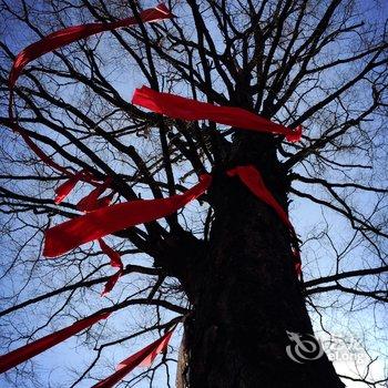 神农架万榔树农家酒店提供图片