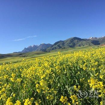 祁连卓尔山农家驿站酒店提供图片