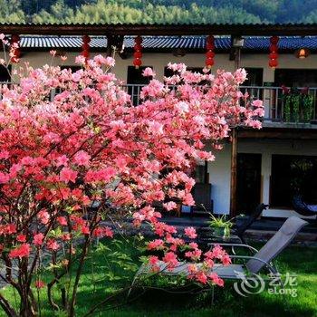 莫干山群英山庄酒店提供图片