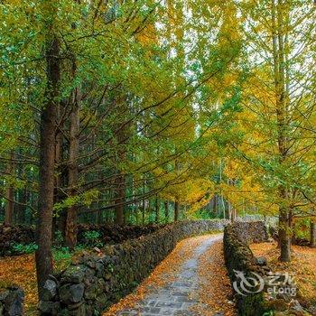 和顺古镇山水居客栈酒店提供图片