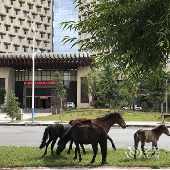 林芝五洲皇冠酒店酒店提供图片