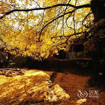 和顺古镇山水居客栈酒店提供图片