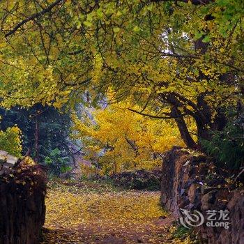 和顺古镇山水居客栈酒店提供图片