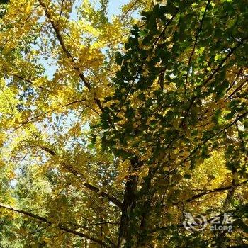 和顺古镇山水居客栈酒店提供图片