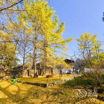 和顺古镇山水居客栈酒店提供图片