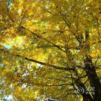 和顺古镇山水居客栈酒店提供图片